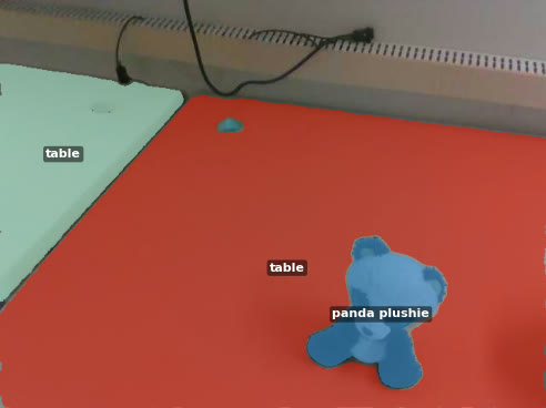 Segmented camera view showing a panda plushie on a table.